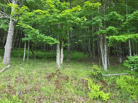 Tbd Timberwolf Road W Liberty NY 12754