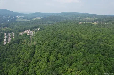Tbd Timberwolf Road W Liberty NY 12754