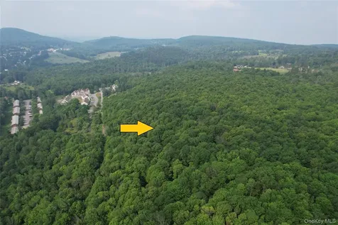 Tbd Timberwolf Road W Liberty NY 12754