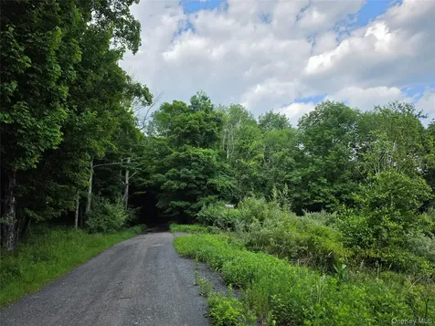 Tbd Timberwolf Road W Liberty NY 12754