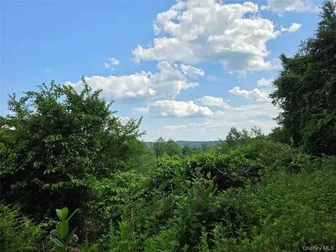 Tbd Timberwolf Road W Liberty NY 12754
