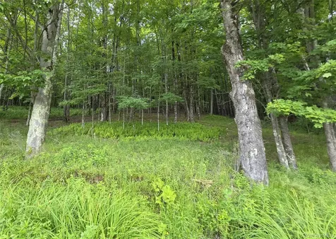 Tbd Timberwolf Road W Liberty NY 12754