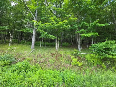 Tbd Timberwolf Road W Liberty NY 12754