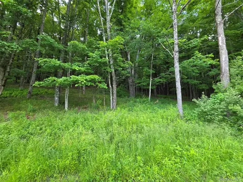 Tbd Timberwolf Road W Liberty NY 12754