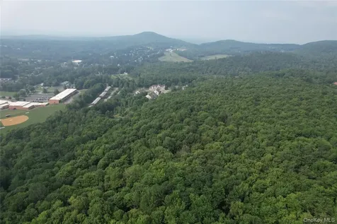 Tbd Timberwolf Road W Liberty NY 12754