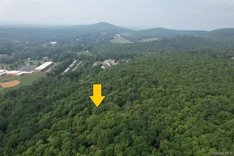 Tbd Timberwolf Road W Liberty NY 12754