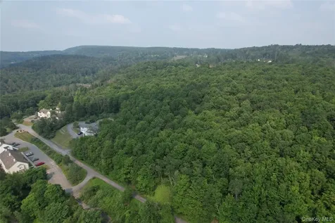Tbd Timberwolf Road W Liberty NY 12754