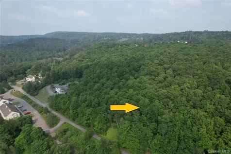 Tbd Timberwolf Road W Liberty NY 12754