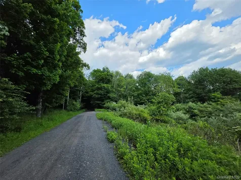 Tbd Timberwolf Road W Liberty NY 12754