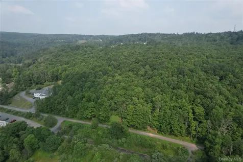 Tbd Timberwolf Road W Liberty NY 12754