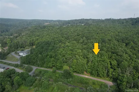 Tbd Timberwolf Road W Liberty NY 12754