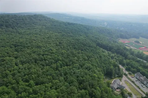 Tbd Timberwolf Road W Liberty NY 12754