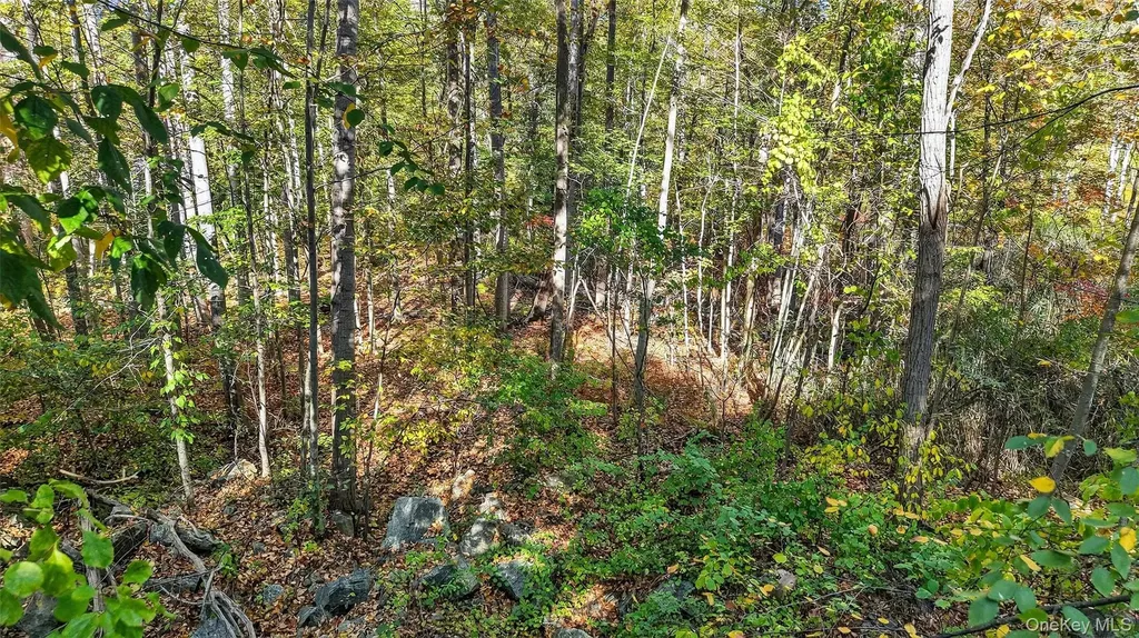 50 Winston Lane Garrison NY 10524
