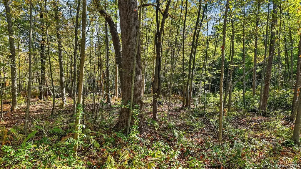 50 Winston Lane Garrison NY 10524