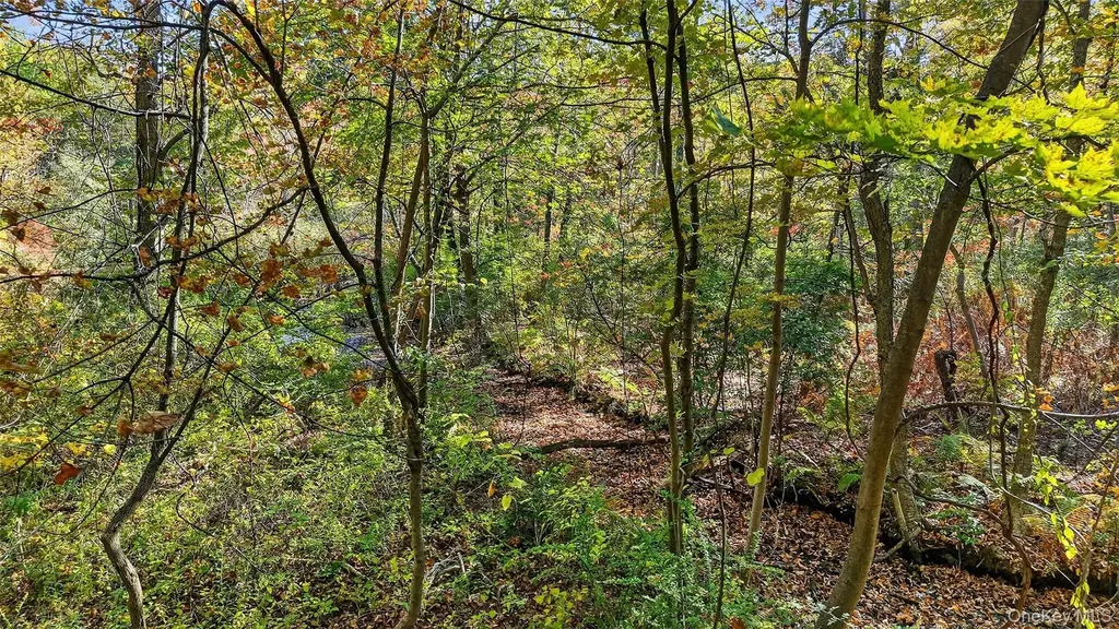 50 Winston Lane Garrison NY 10524