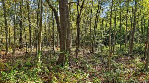 50 Winston Lane Garrison NY 10524
