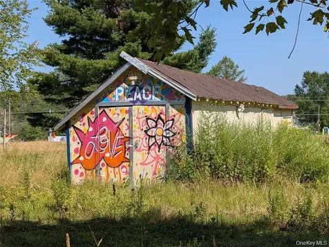 1166 County Road 114 Cochecton NY 12726