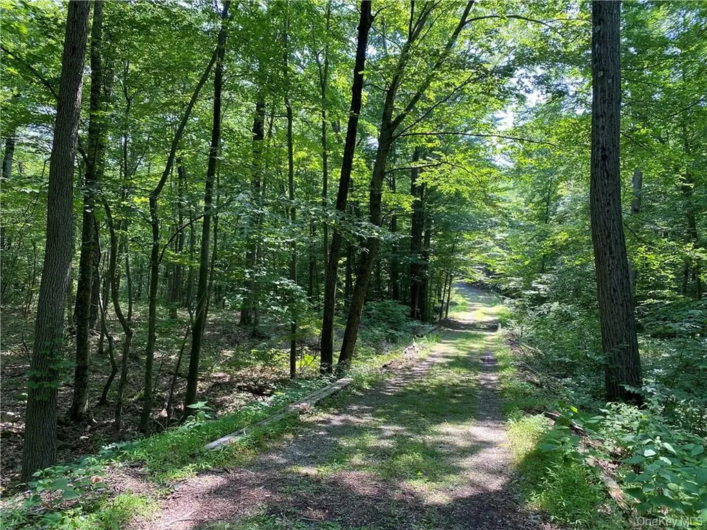 554 & 545 E Mountain Road N Cold Spring NY 10516