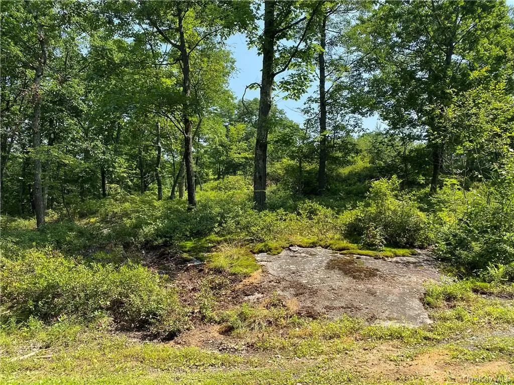 554 & 545 E Mountain Road N Cold Spring NY 10516