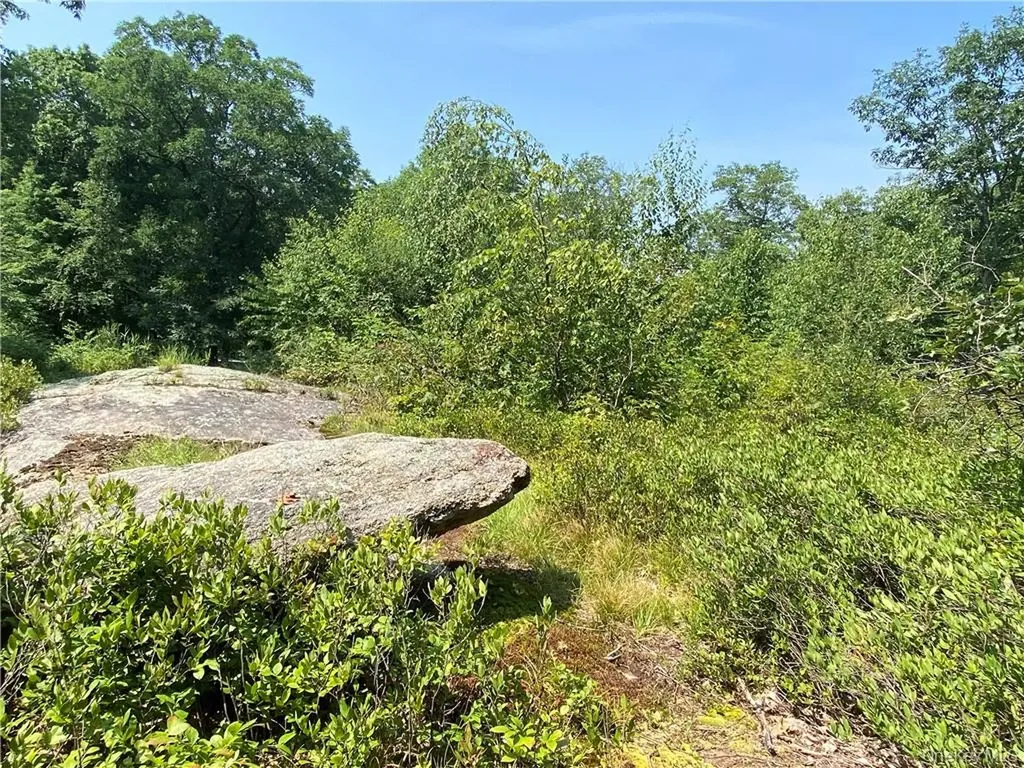 554 & 545 E Mountain Road N Cold Spring NY 10516