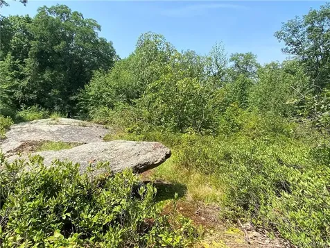 554 & 545 E Mountain Road N Cold Spring NY 10516
