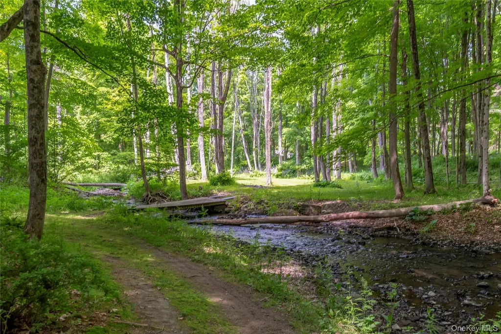 2955 State Route 23 Hillsdale NY 12529