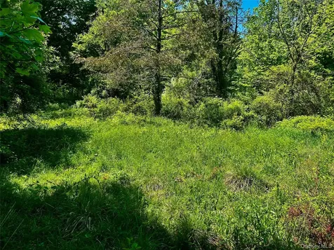 73 North Creek Road Staatsburg NY 12580