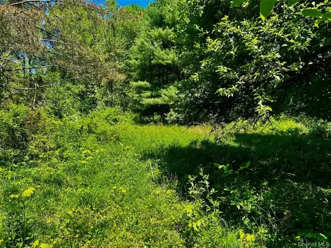 73 North Creek Road Staatsburg NY 12580