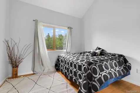 81 N Pond Drive Livingston Manor NY 12768
