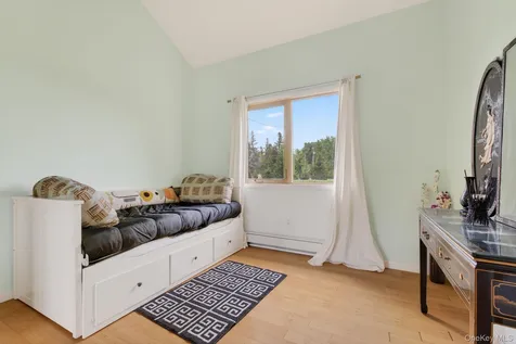 81 N Pond Drive Livingston Manor NY 12768