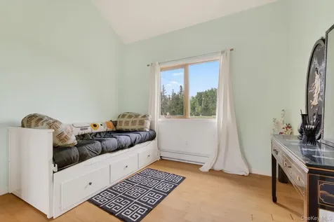 81 N Pond Drive Livingston Manor NY 12768