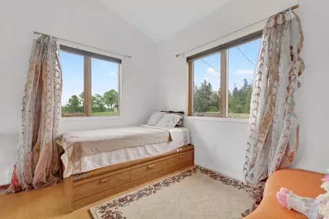 81 N Pond Drive Livingston Manor NY 12768