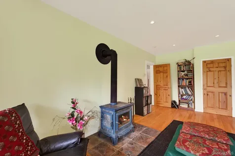 81 N Pond Drive Livingston Manor NY 12768