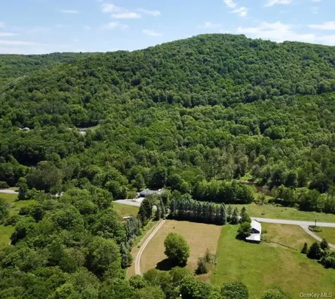 438 Gulf Road Roscoe NY 12776