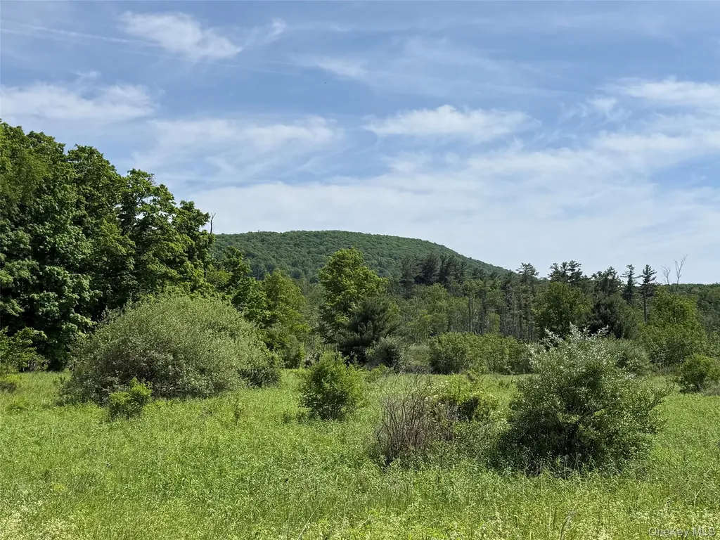 0 Route 44 Millerton NY 12546
