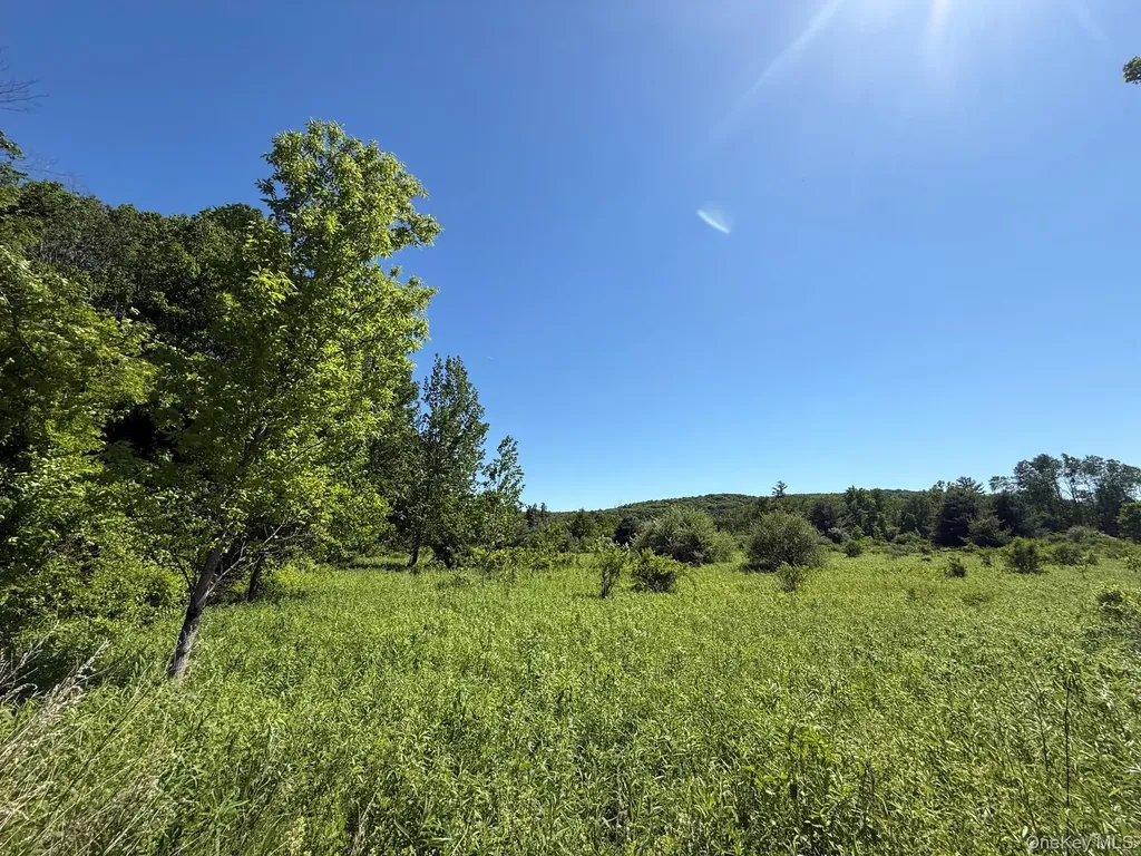 0 Route 44 Millerton NY 12546