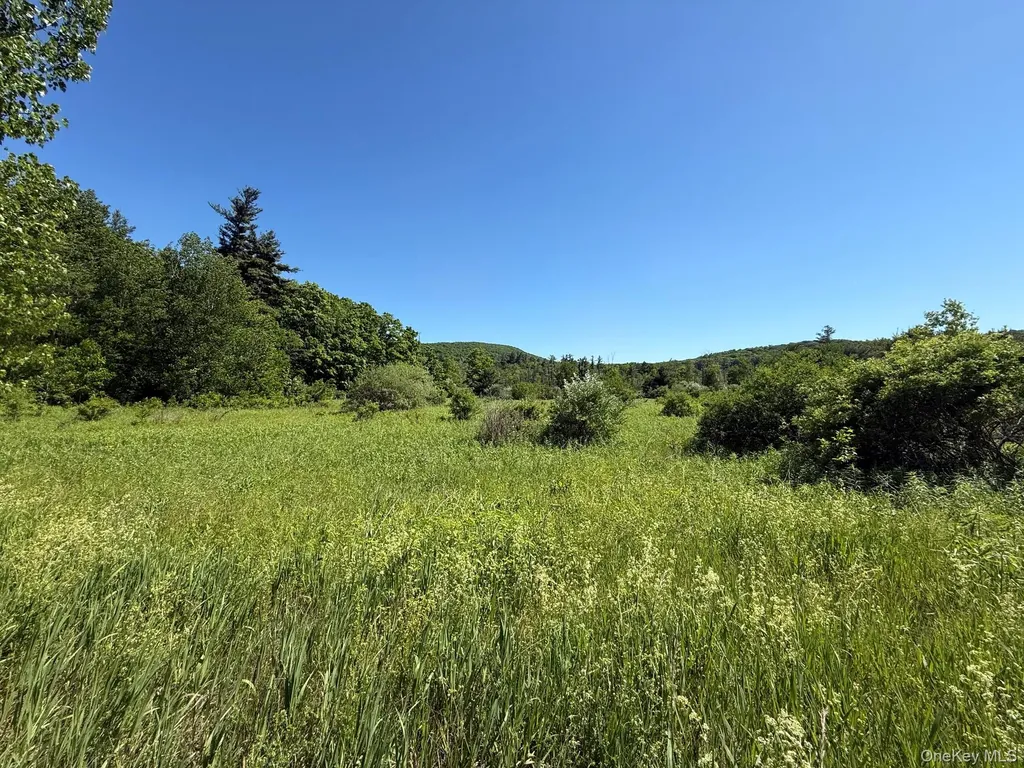 0 Route 44 Millerton NY 12546