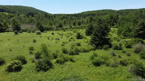0 Route 44 Millerton NY 12546