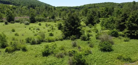 0 Route 44 Millerton NY 12546