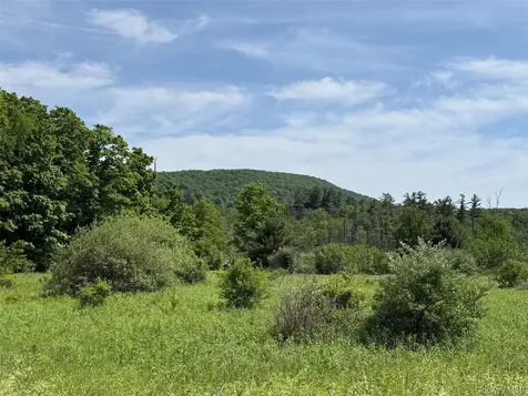 0 Route 44 Millerton NY 12546