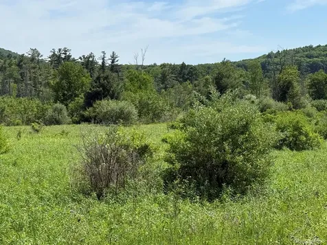 0 Route 44 Millerton NY 12546
