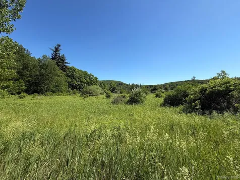 0 Route 44 Millerton NY 12546
