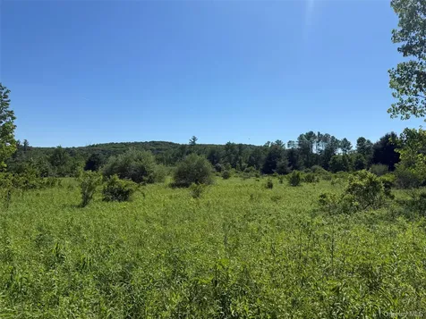 0 Route 44 Millerton NY 12546