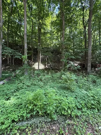 15 Darlington Road Bedford NY 10549