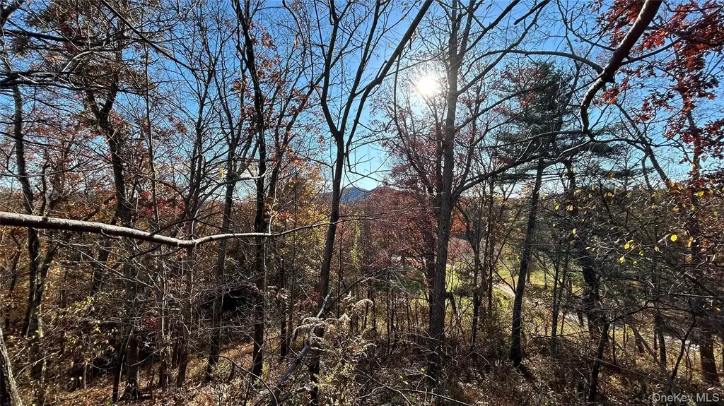 66 Ryan Road Pine Plains NY 12567