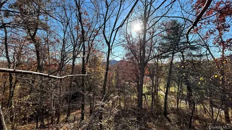 66 Ryan Road Pine Plains NY 12567