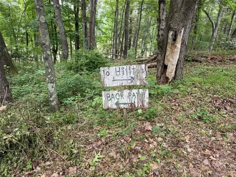 66 Ryan Road Pine Plains NY 12567