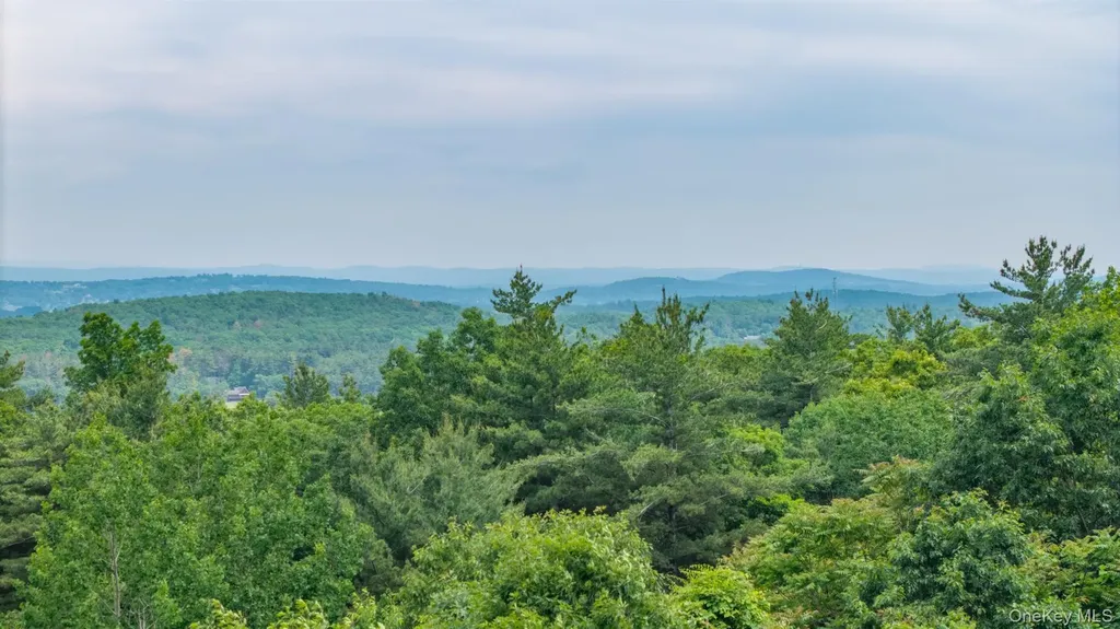 Tbd Skinner Lane Athens NY 12015