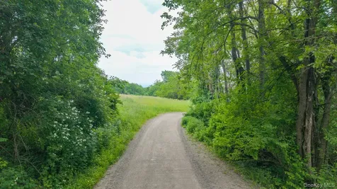 Tbd Skinner Lane Athens NY 12015