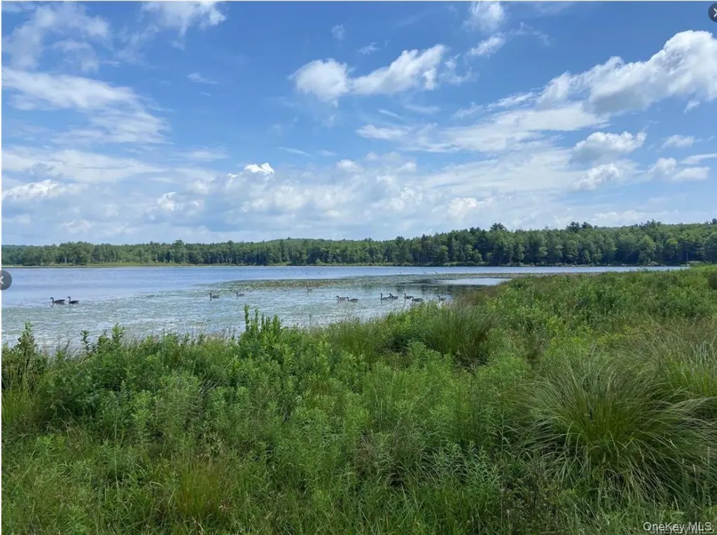 15 Bailey Lake Road Kiamesha Lake NY 12751